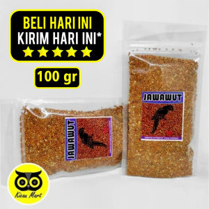 Kicau Mart Biji Jewawut Biji Jawak Biji Kunyit Juwawut Sekoi Foxtail Millet Milet Jawawut Pakan Makanan Burung Kenari Canary Lovebird Love Bird Siskin Perkutut Hamster Otek Gabah Merah Jawarf