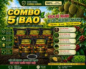 Combo 5 bao Phân bón hữu cơ Humic Organic hỗ trợ ra rễ mạnh cho cây trồng