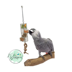 Featherland Paradise Sliding Doors and Drawers Parrot Toy