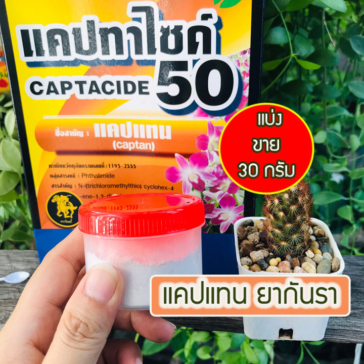 ยากันราแคปแทน Captan 30 กรัม ยากันเชื้อราแคคตัส ไม้อวบน้ำ