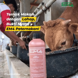 EM4 Peternakan 1 Liter EM4 Peternakan 1Liter Effective Microorganisms 4