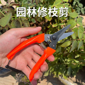 Pruning Shears Gardening Scissors Tree Cutter Fruit Tree Pruning Scissors Garden Scissors Bonsai Tool