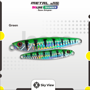 Umpan Metal Jig 30 Gram 30g 30 g Metal Jig Killer Umpan Pancing Jig Jigging Jiiging Jigg Jik Casting