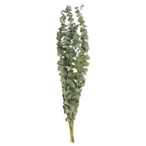 HELUVK 10PCS/Bouquet Photography Props Home Decor Floral Arrangement Real Palnt Artificial flowers Branches Stems  Eucalyptus Leaves