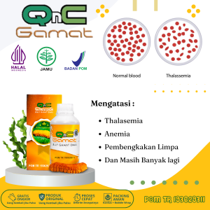 QnC Jelly Gamat - Obat Thalasemia Obat Thalasemia Minor Obat Thalasemia Mayor Obat Anemia Obat Thalasemia Anak Dan Dewasa - 300 Ml