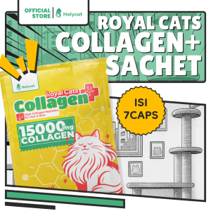 Holycatlabs Royal Cats Collagen+ Tinggi Nutrisi Untuk Kulit dan Bulu Anabul