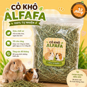 cỏ khô afafa dành cho thỏ bọ sóc baby dưới 6 tháng tuổi - T3 PETS SHOP