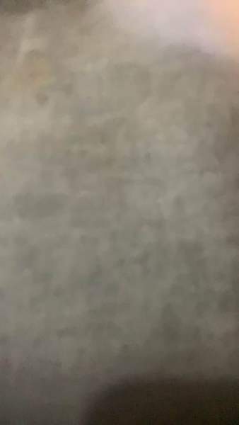Buyer review video 3