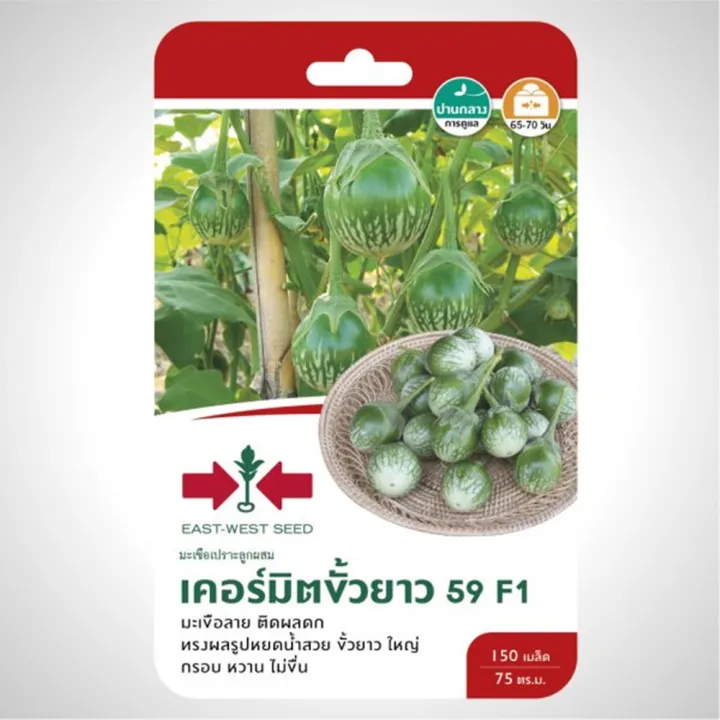 เมล็ดมะเขือเปราะ เคอร์มิตขั้วยาว59 ตราศรแดง ผลดก กรอบหวาน