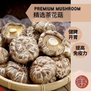 [100G] 精选茶花菇 Premium Tea Flower Dried Mushroom 3-5CM