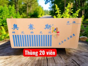 sỉ thùng 20v xốp cắm hoa oasis và phụ kiện hoa