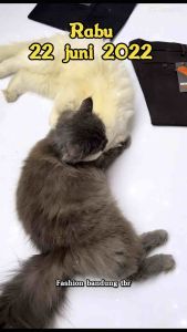 Celana Panjang Bahan Pria Celana Formal Reguler Pria Celana Kerja Celana Kain Oppa fashion