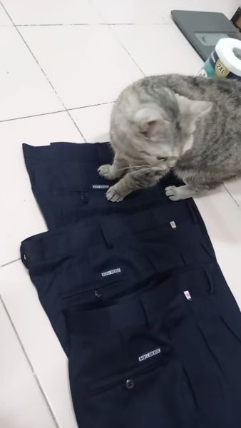Buyer review video 3