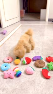 Pet Toy Interactive Toy Cute Fruit Donut Plush Squeaky Chew Toy for Small Dogs Cats