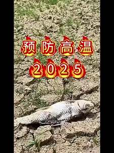 [ No need to turn on the air conditioner ] Cooling Artifact Fan Indoor Summer Fully Automatic Heat Absorption Outdoor Cooling Magic