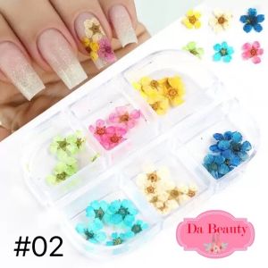 ดอกไม้แห้งติดเล็บ ดอกไม้แต่งเล็บ พร้อมส่งในไทยจ้าา