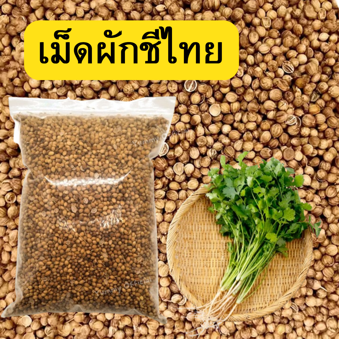 เม็ดผักชีไทย