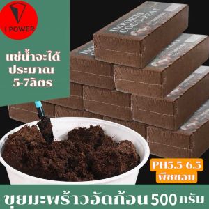 CocoPeat ขุยมะพร้าวอัดก้อน 500g สำหรับสวน ลดความเค็ม pH ประหยัดเวลา