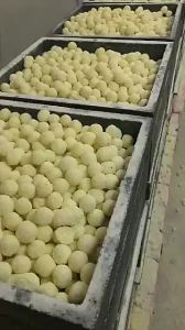 1Kg Sứ Bi Lọc Nước Bể Cá Cảnh Siêu Sạch Vi Sinh Tốt Giá Tốt