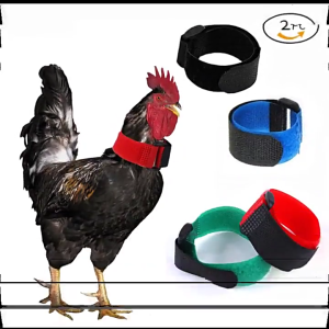 2pcs không có quạ Rooster cổ áo gà cổ áo ồn ào miễn phí chống móc cổ áo vòng cổ để ngăn chặn gà từ crowing