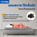 [โค้ดลด 100บาท] Zcoopy ที่นอนโฟมชาร์โคล นุ่มแน่น ราคาประหยัด สบายกระเป๋า ส่งฟรี รุ่น Charcoal. 