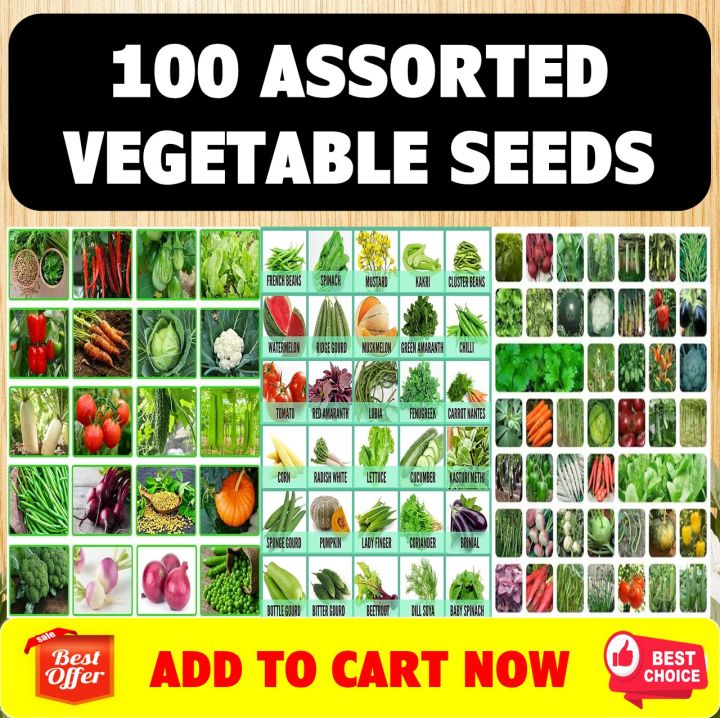 Assorted Vegetable Seeds - Pechay, mustasa, tomato, okra, cabbage ...