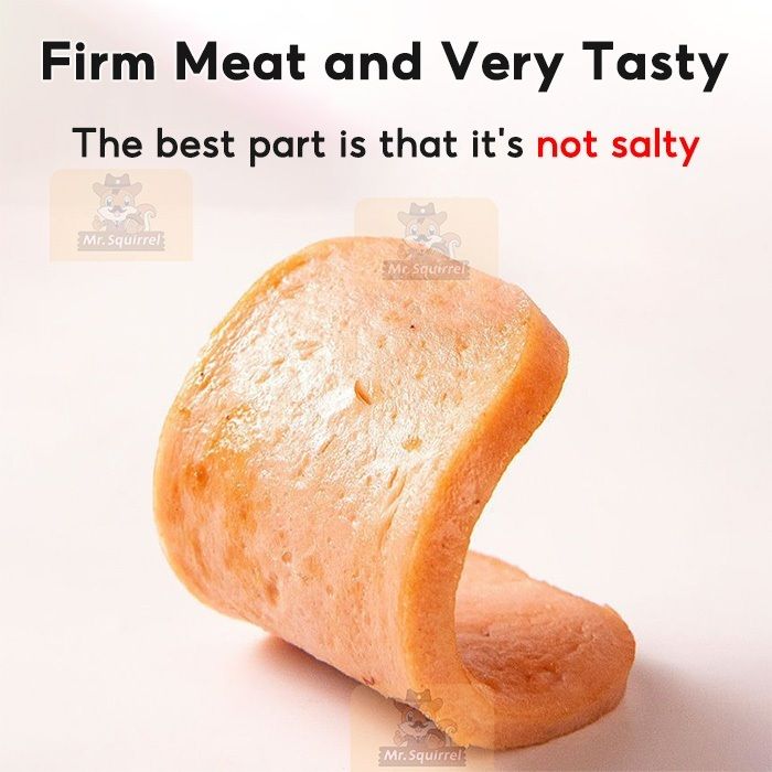 Mr.Squirrel%20340g%20Wholesale%20canned%20food%20Philippines%20Luncheon%20Meat%20340g%20Pork%20luncheon%20meat%20-%20Image%202