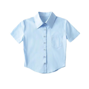 【Buy 1 Take 1】Korean Style Women Short Sleeve Button Up High Low Hem Simple Casual Loose Shirt Tops With collar and Front Buttons.
