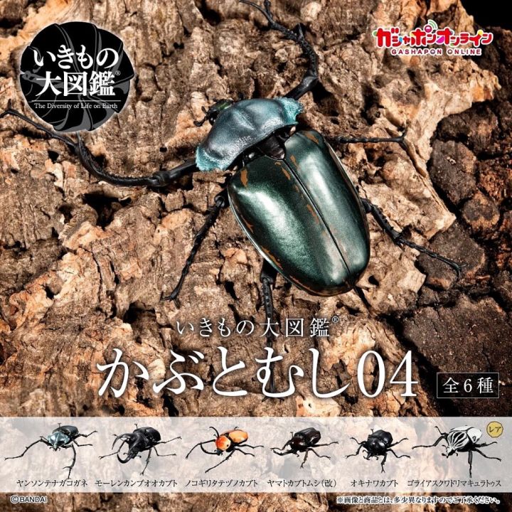 กาชาปองด้วง Gashapon Bandai Kuwagata Hercules Beetle Action Vol.04 No.5
