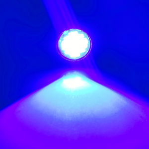 1 Piece 12V Eagle Eye LED Light 12SMD 23MM Auto DRL For Cars Motorcycle Screw Lamp Signal Light Bulb Car Accessories
