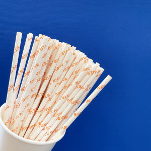 [KV] Phi 6 - Bó 100 ống hút giấy làm từ sợi mía hoạ tiết Newstar