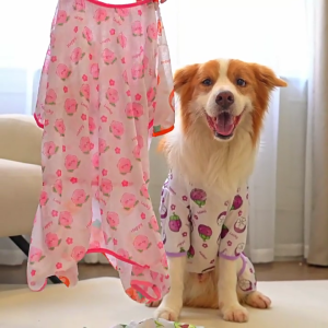 Pet Cartoon Fruit Pullover Dog Apparel Outfit Pet Sweatshirt Princess Elegant T-shirt Sweatshirt Influencers Same Props