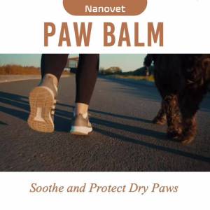 Nanovet Pet Paw Ceam for Cat and Dog - 50 Gram