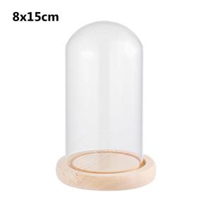 OKDEALS Fairy Lights Plants Glass Vase Terrarium Transparent Bottle Wooden base Dust Cover Flower Storage box Glass cloche