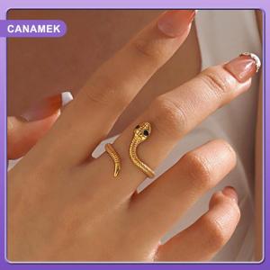 【CANAMEK】 Cổ Điển Hollow Zircon Nhẫn Đối Với Phụ Nữ Kim Loại Xu Hướng Rắn Hình Dạng Cổ Điển Hợp Thời Trang Thép Không Gỉ Vòng Trang Sức