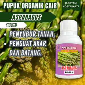 Pupuk Organik Cair Asparagus 100 Ml Hormon Penumbuh Batang Pengemuk Tanaman By Jagotani Yogyakarta