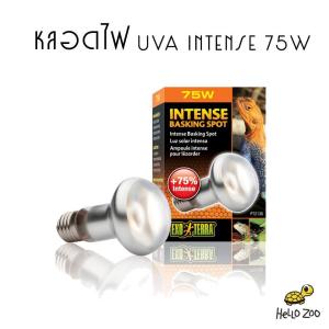 Exo Terra Intense Basking Spot 75W หลอดไฟ UVA แสงกระจุกตัว สำหรับกกไฟกลางวัน (กล่องส้ม)