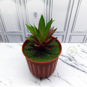 Tanaman Hias Sukulen Artificial DIY – Pot Cantik 12x24 cm – Rumput Padat Rapi Estetik – Dekorasi Rumah/Kantor