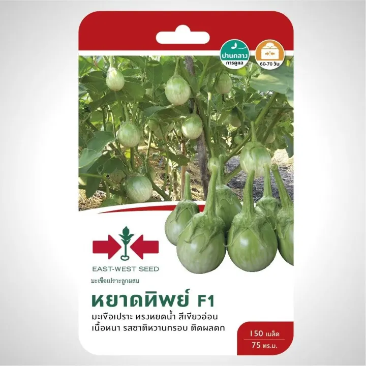 เมล็ดพันธุ์ศรแดง มะเขือเปราะ หยาดทิพย์ F1 ลูกผสม