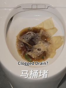 🇸🇬【SG stock】Drain Fly Killer Powerful Sink Drain Cleaner Kitchen Bathroom Toilet Sewer Pipe Clog Removal Enyzme Powder