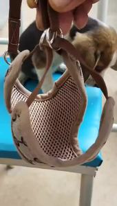 AdjustableDog Harness and Leash Set Anti-Choke Cat Vest Collar