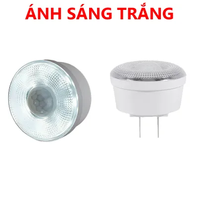 Đèn LED Cảm Biến Tự Động Bật Tắt Khi Có Người Đi Qua Công Suất 3W Tầm Quét Rộng Ánh Sáng Ổn Định