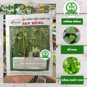 Hạt Giống Bí Đao Lai F1 SH64 SEN HỒNG (Gói 2gr) - Date mới