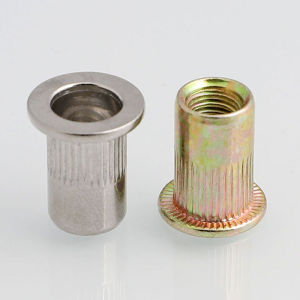 M3 M4 M5 M6 M8 M10 M12 304 Stainless Steel/Color Zinc Flat Countersunk Head Rivet Nut Rivet Insert Nutsert