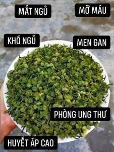 nụ tam thất bao tử NỤ HOA TAM THẤT KHÔ VIP hàng mới về đẹp xuất sắc.