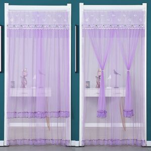 Lace The Mosquito Curtain From Punching Household Gauze Shade Bedroom Long Velcro Partition Curtain Curtain Hanging Curtain