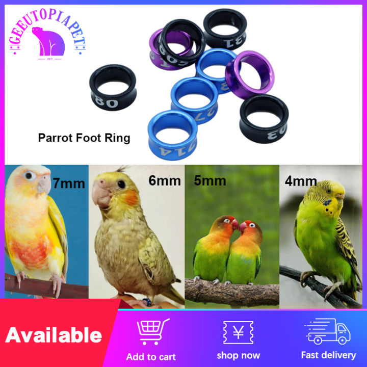 Parrot Leg identification ring electroplated alloy Albs Ring band for