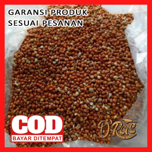 BIJI JAWAWUT || JEWAWUT 1 KG  || pakan makanan burung lovebird parkit perkutut kenari dll