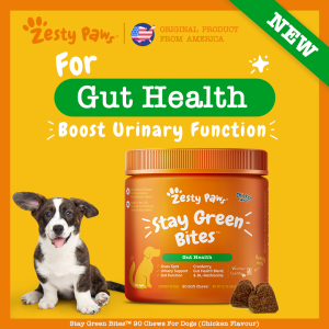 Zesty Paws Stay Green Bites for Dogs Gut Health - Chicken Flavor (90 Soft Chews) (EXP:07 2026)