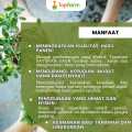Pestisida Topfarm / Obat Hama Untuk Buah Dan Sayuran / Obat Hama Daun Sayuran /Obat Hama Kutu Daun Sayuran Pare / Obat Hama Sayuran Dan Pupuk Buah / Obat Daun Untuk Tanaman Sayuran / Obat Hama Sayuran Kumbang Daun. 